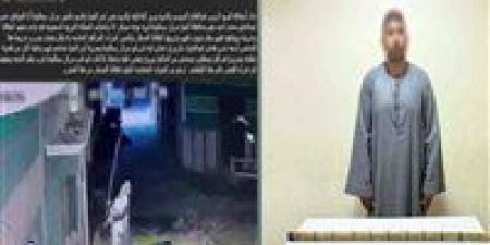 ضبط المتهم بتحطيم كاميرات المراقبة الخاصة بمنزل سيدة في سمالوط