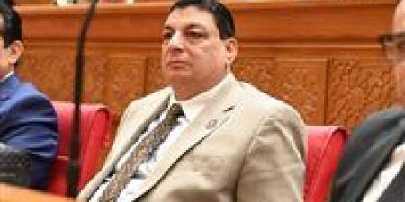 سامي نصر الله: لقاء السيسي وغوتيريش يعكس ثقل مصر الدولي ودورها المحوري في دعم استقرار المنطقة