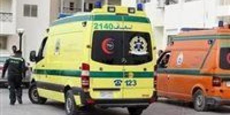 اعتداء على سيدة وابنتها داخل منزلهما ببلقاس.. وإصابتهما بكدمات