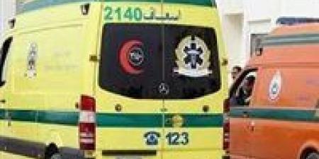 طريق جمصة يتحول إلى مأساة.. 3 وفيات وإصابة في تصادم تريلا وملاكي واحتراق المركبة