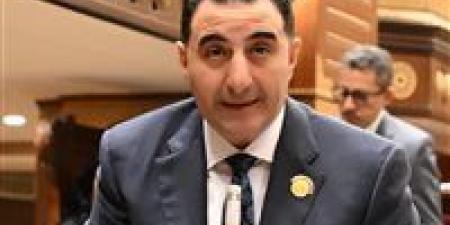 رئيس برلمانية المؤتمر بالشيوخ : طفرة غير مسبوقة بقطاع الطيران المدني والمطارات واجهة مصر أمام العالم