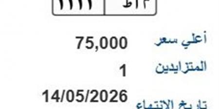 عبر بوابة المرور.. طرح لوحة مميزة للمزاد بسعر 75 ألف جنيه