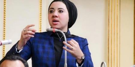 "نائبة التنسيقية" تحذر استمرار الغش الجماعي: يمنع الطلاب المجتهدين من فرصهم الحقيقة
