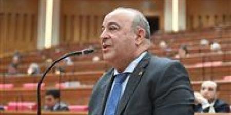 النائب مجدي مرشد لـ تحيا مصر: الصندوق التكافلي يواكب قانون الأحوال الشخصية ويعزز حقوق الأسرة