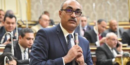 إيهاب منصور لـ "تحيا مصر": رفع تكلفة العدادات الكودية عبء على المواطنين ويجب مراعاة محدودي الدخل والمتقدمين للتصالح