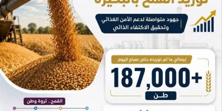 تموين البحيرة: ارتفاع مستمر في معدلات توريد القمح وتجاوز الكميات الموردة 187 ألف طن