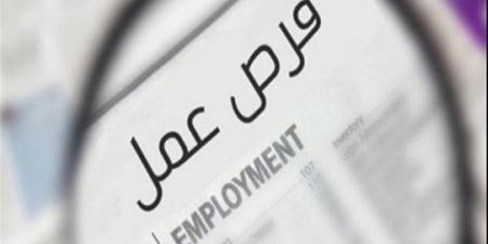 برواتب مجزية.. 500 فرصة عمل متاحة للشباب بمدينة بدر (تفاصيل)