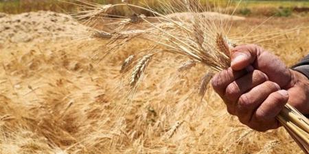 "نيوز نيشن": عمليات شراء صينيين لأراض زراعية داخل الولايات المتحدة تثير خوف المزارعين