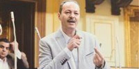 النائب حسين غيته يتقدم بطلب إحاطة بشأن تعظيم الجدوى الاقتصادية لمشروع فوسفات أبو طرطور