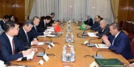 أبو الغيط يستقبل وزير العلاقات الخارجية للجنة المركزية للحزب الشيوعي الصيني