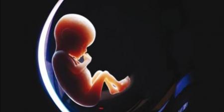 صحة قلب الطفل تتشكل في الرحم بتأثير من صحة الأم