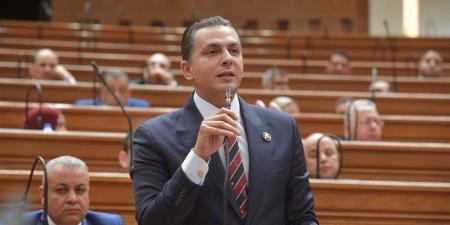 النائب أحمد عبدالجواد: وحدة ليبيا خط أحمر.. ومصر لن تنحاز إلا للشعب الليبي