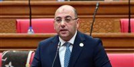 برلمانية حماة الوطن ترحب برئيس البرلمان الليبي .. والعطيفي: انطلاقا من موقف القيادة السياسية فإننا ندعم المؤسسات الوطنية والحوار السياسي الليبي برعاية القاهرة