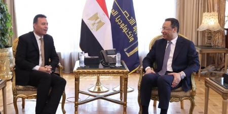 وزير الاتصالات يبحث مع التعبئة والإحصاء تنفيذ مشروع التعداد العام للسكان والإسكان والمنشآت لعام 2027