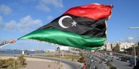 ممثلة روسيا لدى مجلس الأمن: المحكمة الجنائية شرعنت تدمير ليبيا