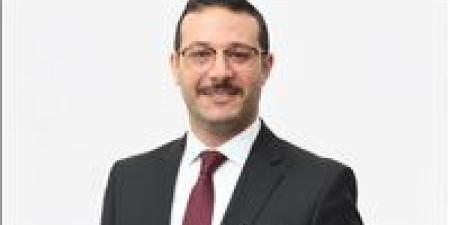 طاهر أبو زيد يكتب: الكادر الذي نحتاجه.. سياسي أم مهني؟