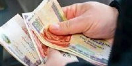 بدء صرف منحتي عيد الأضحى والاستثنائية للعمالة غير المنتظمة بإجمالي 767 مليون جنيه