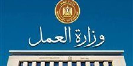 وزارة العمل تعلن عن 18 فرصة عمل بشركة “هينج تونج مصر” بالسويس.. رابط التقديم