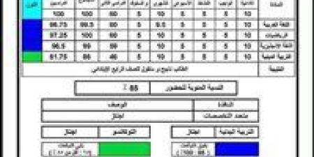 ظهور نتيجة الصف الثالث الابتدائي 2026 بالقاهرة.. استعلم الآن