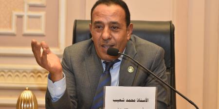 النائب محمد شعيب: التجارة الالكترونية غير الرسمية تضر الصناعة الوطنية والتجار الملتزمين