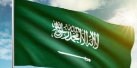 وفد المملكة السعودية يسلط الضوء على فرص الدراسة والمنح في "نافسا 2026"
