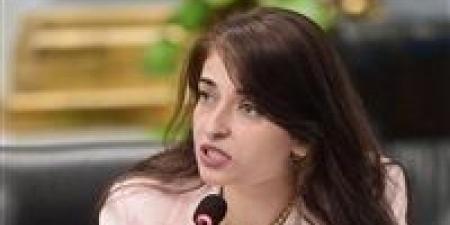 النائبة إيرين سعيد تتقدم بطلب إحاطة بشأن وفاة طفل اختناقا داخل مستشفى بالدقهلية