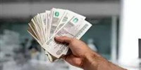 شهادات أم صناديق؟.. معركة العوائد تشتعل بعد قرارات المركزي