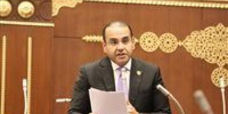 قصة نجاح مصرية.. النائب محمد المنزلاوي: العلمين الجديدة تؤكد قدرة الدولة على صناعة المستقبل