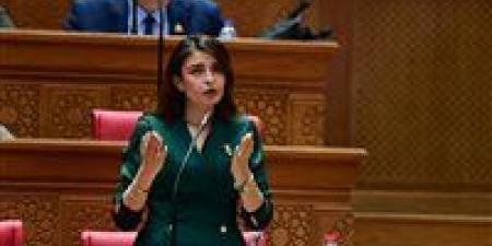 بعد مناقشة طلب النائبة إيرين سعيد.. الرئيس السيسي يوافق على مقترح تحسين أجور العاملين بالإسعاف