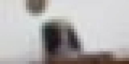 أهم مخرجات اجتماع مجلس الوزراء