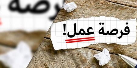 التقديم على 4504 فرص عمل في 14 محافظة حتى نهاية يونيو 2026
