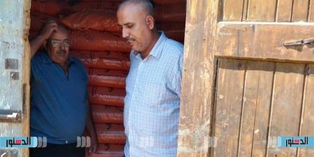 "زراعة كفر الشيخ": نعمل بشكل مكثف على تحسين إنتاجية القطن ودعم المزارعين