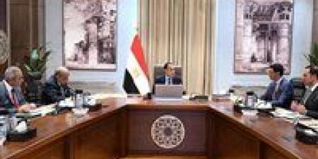 رئيس الوزراء يكلف بعرض الصورة النهائية لمبادرة تشجيع تركيب الواح الطاقة الشمسية بالمصانع والمنازل