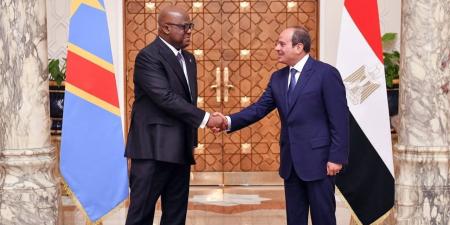 "الحرية المصري": زيارة رئيس الكونغو تعكس عمق وجذرية العلاقات التاريخية