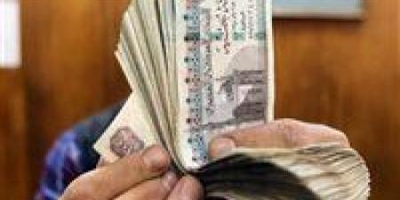 ناجى الشهابي: الدعم النقدي يفقد قيمته الشرائية مع التضخم ولا بديل عن الدعم العيني دون ضمانات حقيقية