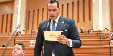 وكيل "اتصالات النواب": التحول الرقمي ضرورة استراتيجية لتعزيز التنافسية