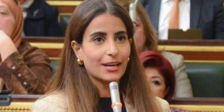 "تضامن النواب" تبدا مناقشة طلبات إحاطة حول كارت الخدمات المتكاملة وبرنامج تكافل وكرامة..الأحد