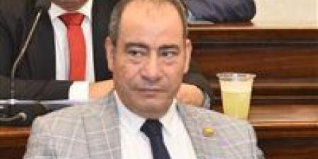 مجاهد نصار: التحركات المصرية تعكس التزامًا راسخًا بدعم القضية الفلسطينية وترسيخ الاستقرار الإقليمي