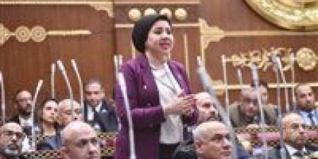 بعد غش عصير القصب.. أميرة صابر: ملف الرقابة على المنتجات الغذائية "كارثي".. وصحة المواطنين لا تحتمل هذا التهاون