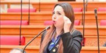 البرلمان يناقش شكاوى المواطنين من زيادة تكلفة الكهرباء للعدادات الكودية بعد طلب إحاطة نشوى الشريف