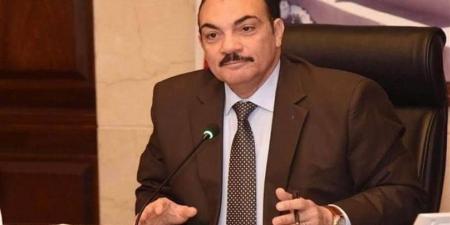 رضا فرحات: نجاح "الفان زون" يعكس تطور صناعة الترفيه والثقافة الجماهيرية في مصر