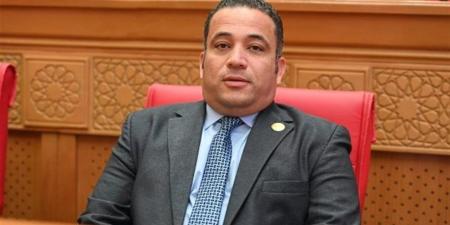 هاني شحاتة يطالب الحكومة بوضع آليات واضحة للاستفادة من حملة الماجستير والدكتوراه