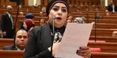 النائبة جيهان شاهين: مشاركة الرئيس عبدالفتاح السيسي في قمة السبع تؤكد مكانة مصر كشريك مؤثر في صياغة مستقبل الاقتصاد العالمي
