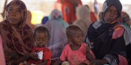 الفاو وبرنامج الأغذية يحذران: السودان ضمن أخطر بؤر الجوع عالميًا حتى 2026