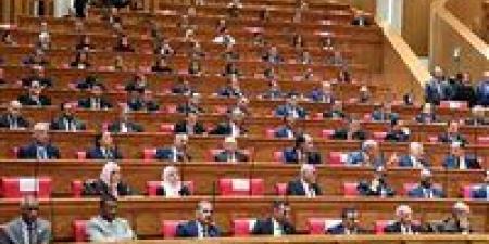 النواب يناقش تعديلات قانون الإجراءات الضريبية الموحد الاثنين المقبل.. والحكومة تستهدف تعزيز الفاتورة الإلكترونية