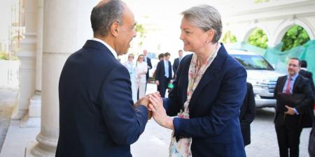 «تعزيز الشراكة بين البلدين».. وزير الخارجية ونظيرته البريطانية يترأسان الدورة الثالثة لمجلس المشاركة المصرية البريطانية