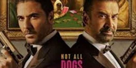 ترتيب إيرادات الأفلام أمس.. فيلم 7 Dogs أولًا والقصص في المركز الأخير