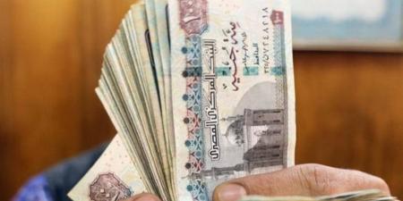 بالرقم القومي.. طريقة معرفة قيمة المعاش في دقائق من المنزل