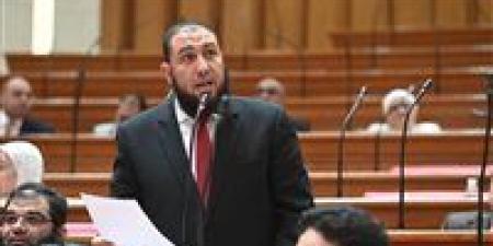 النائب محمود رشاد يطالب برعاية الفلاحين ومواجهة نقص الأسمدة ويؤكد: الأمن الغذائي جزء أصيل من الأمن القومي