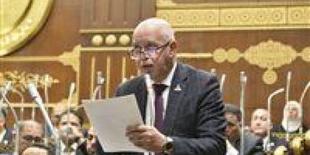 النائب حازم الجندى: مصر تقود جهودا مسؤولة لحماية وحدة السودان